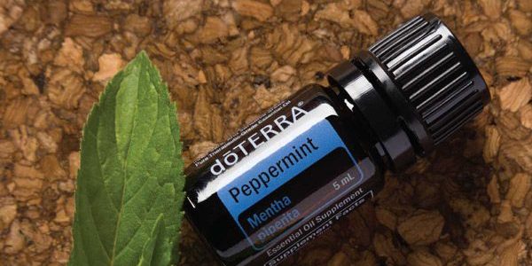 1×1 600×600 peppermint oil where to buy 1x1 600x600 peppermint oil where to buy